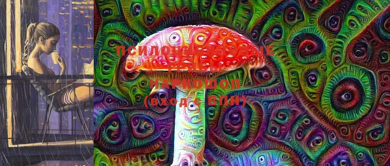 как найти закладки  Анива  Псилоцибиновые грибы Cubensis 